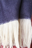 Fringe Hem Colorblock Scarf